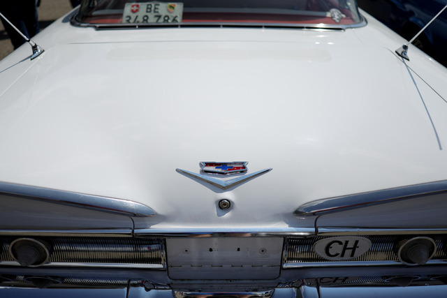 Calag_Oldtimer2025-26 | Ich fotografiere Hundeausstellungen, Sportanlässe, Zuchtstätten, Hundezucht, Hundeportrait, Lagotto - Realisiert mit Pictrs.com