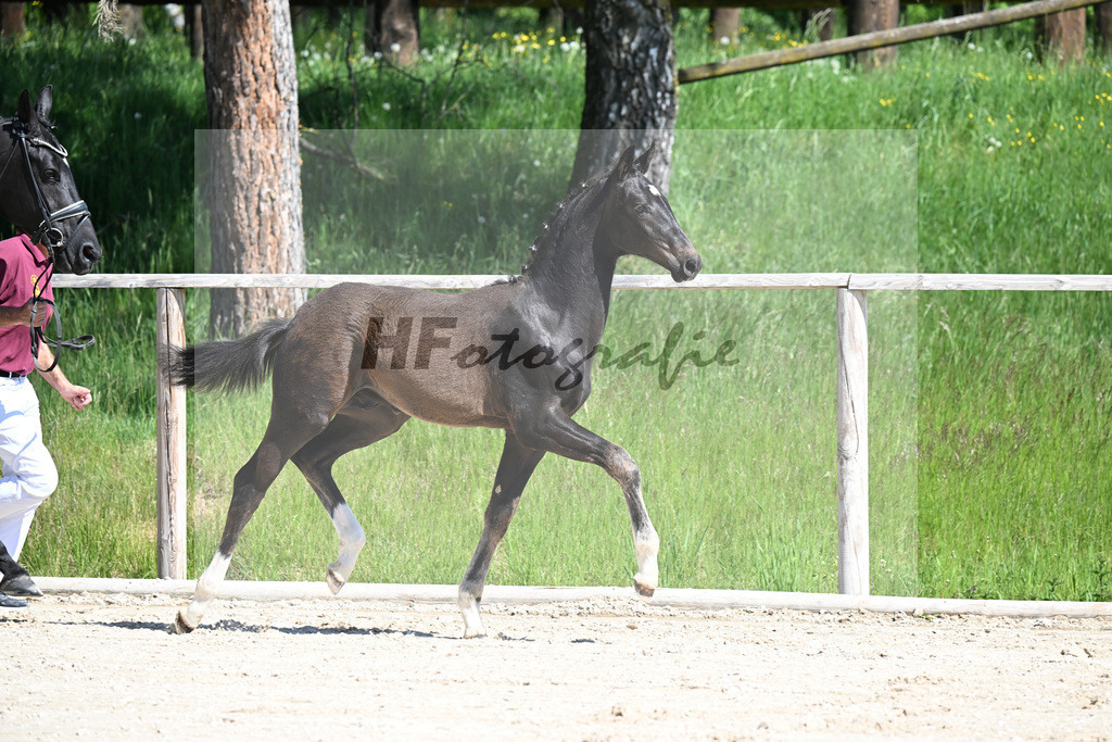 Escaneno x Negro_HF_Eder_10250071 | hf-fotografie - Realizzato con Pictrs.com