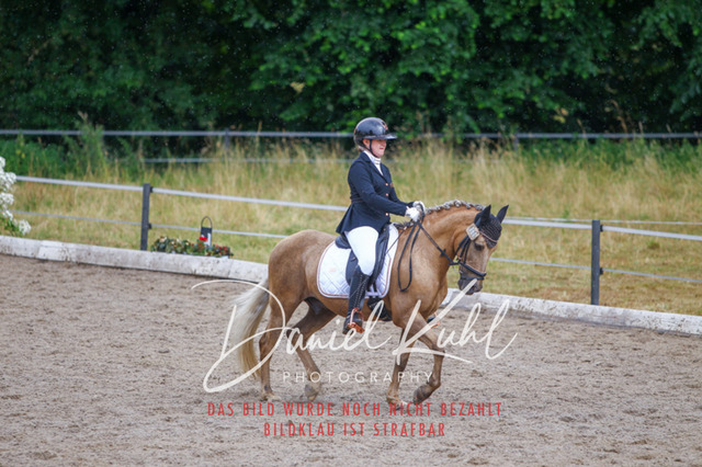 DKP47059 | Turniersportfotografie; Pferdefotografie; Dressurfotografie