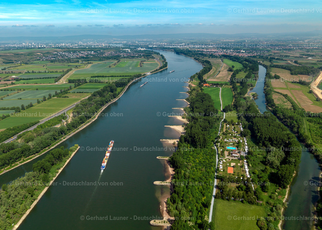 3134041-Rheininsel-Langenau | Rheininsel Langenau