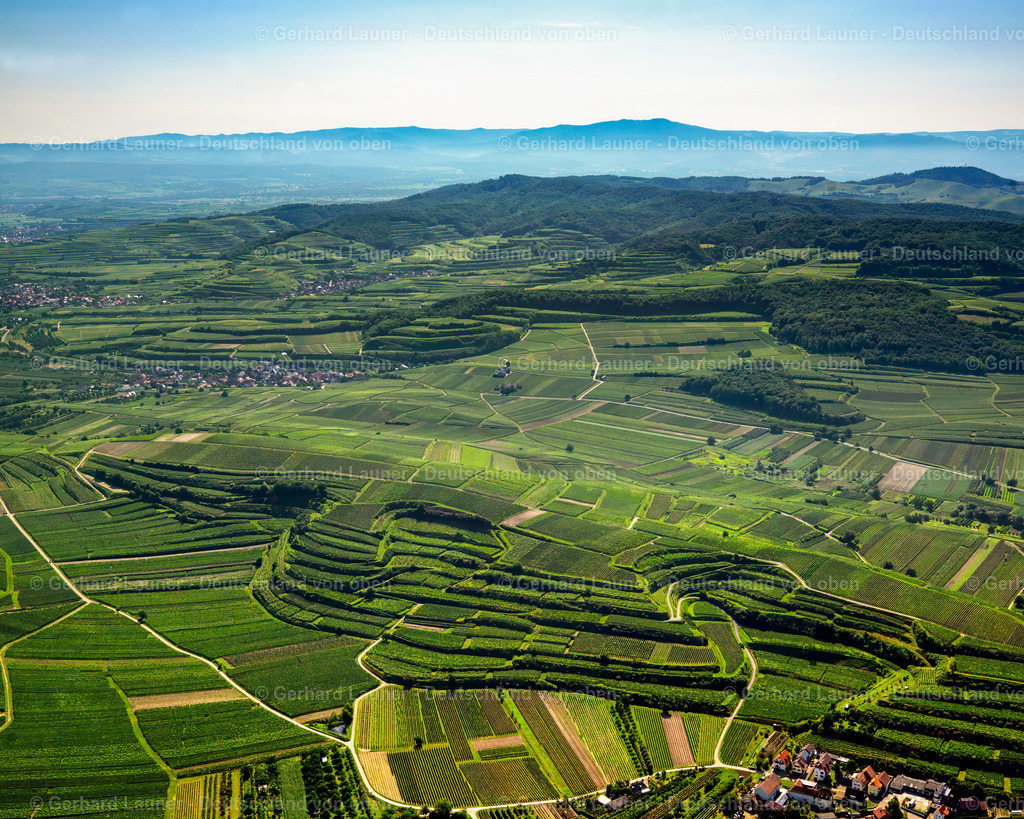 2700044 | Terrassenweinberge am Kaiserstuhl bei Vogtsburg