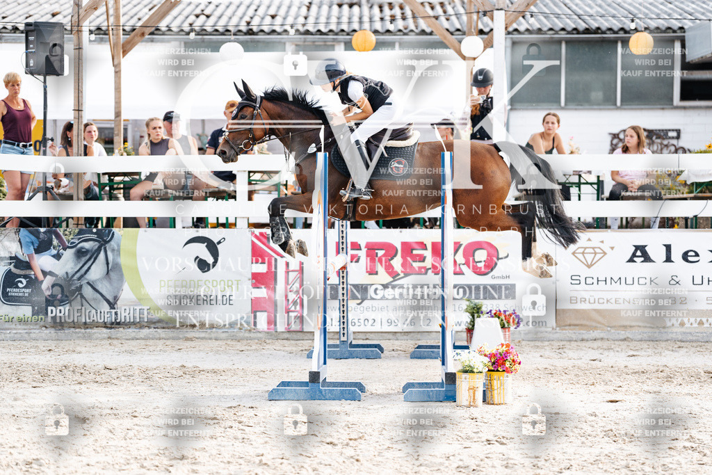 CK906990 | Turnierfotografie Pferdefotografie Trier Rheinland-Pfalz Pferdesport Reitsport Tierfotografie Sportfotografie Pferdevideo Pferdevideografie Equestrianvideography equestrianphotography  - Realisiert mit Pictrs.com
