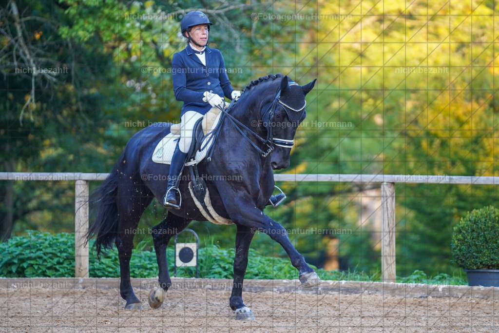 20221007-FAH00561 | Diessen am Ammersee, 2022, Dressur- und Springturnier, Reitsportbilder, Turnierfotografen Bayern, Pferdefotografen, Fotoagentur Herrmann, Turnierbilder