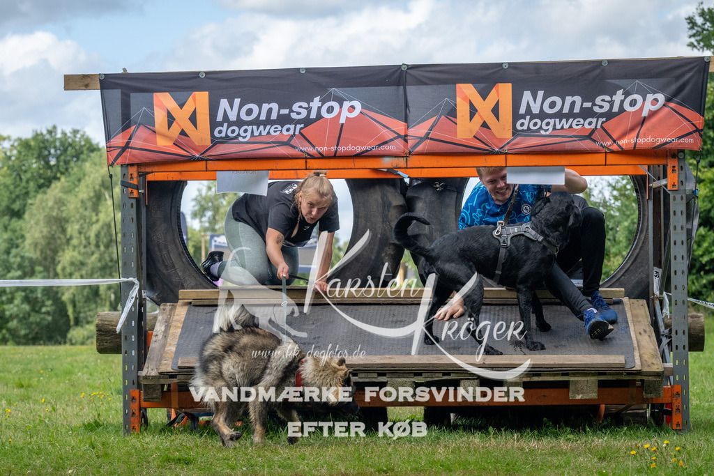 1547_ZZ94159 | kk-dogfotos