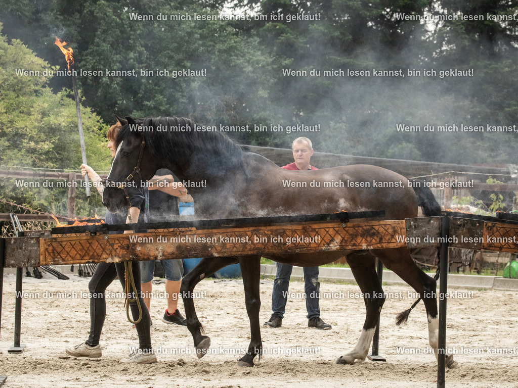 598A7124 | photographylinaismer - Realisiert mit Pictrs.com