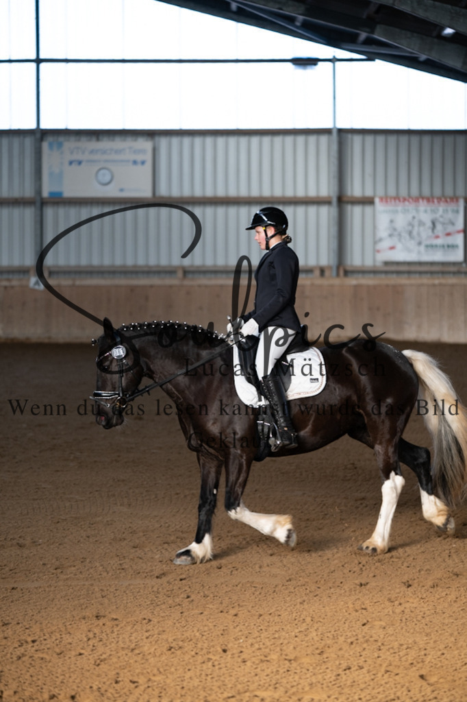 A7V05683 | Pferdefotograf