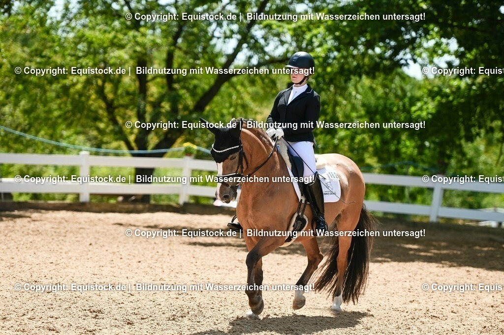 20230715_09_Dressur-WB_0359 | equistock