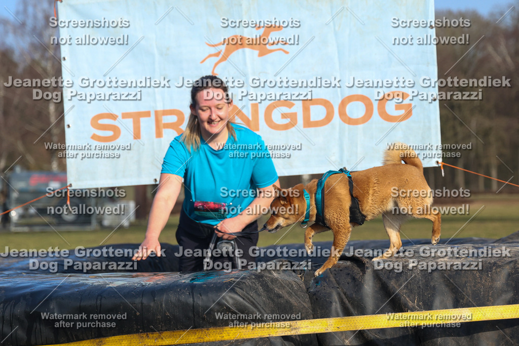 Dog Paparazzi - Strongdog North Mrz26-3575 | Dog Paparazzi Jeanette Grottendiek Fotografie & Videografie - Realisiert mit Pictrs.com