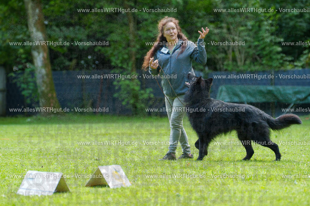 @allesWIRTHgut_Tierfotografie - www.allesWIRTHgut.de - 7R505729 | Professionelle Tierfotografie in Mönchengladbach von Daniel Wirth (allesWIRTHgut). Liebevolle & natürliche Bilder von Hunden & Katzen für unvergessliche Erinnerungen.