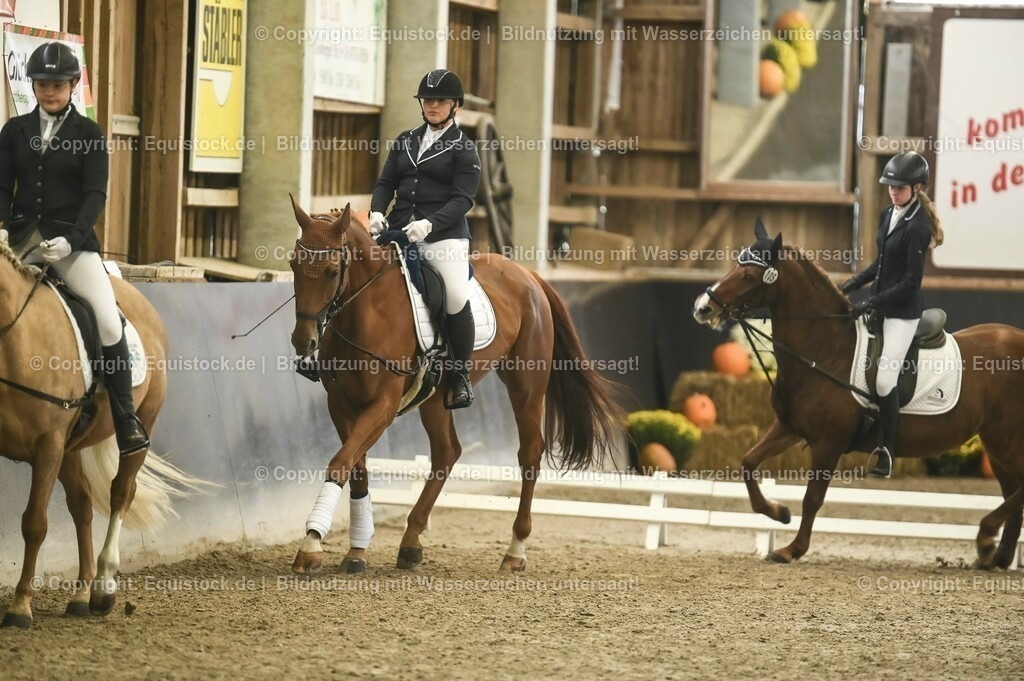 20231029_02_Reiter-WB_Schritt-Trab-Galopp_Abteilung-01_0007 | Foto: Thomas Hartig