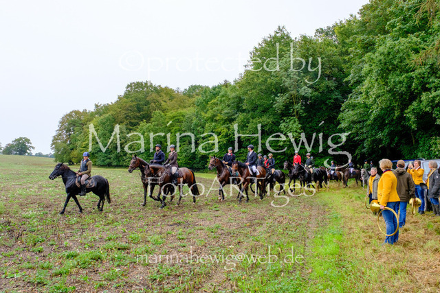 Jagd Perdoel 26 Fuji-9787_MarinaHewig | Fotografie, FotoArt, PferdesportArt, Pferdesportfotografie, Landschaftsfotografie, Reisefotografie, Reise, Pferde - Realisiert mit Pictrs.com