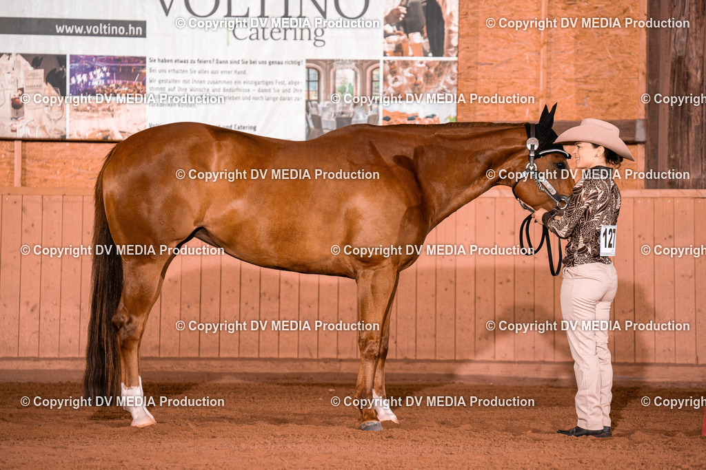 NE100127 | dv-media-shop - Realisiert mit Pictrs.com