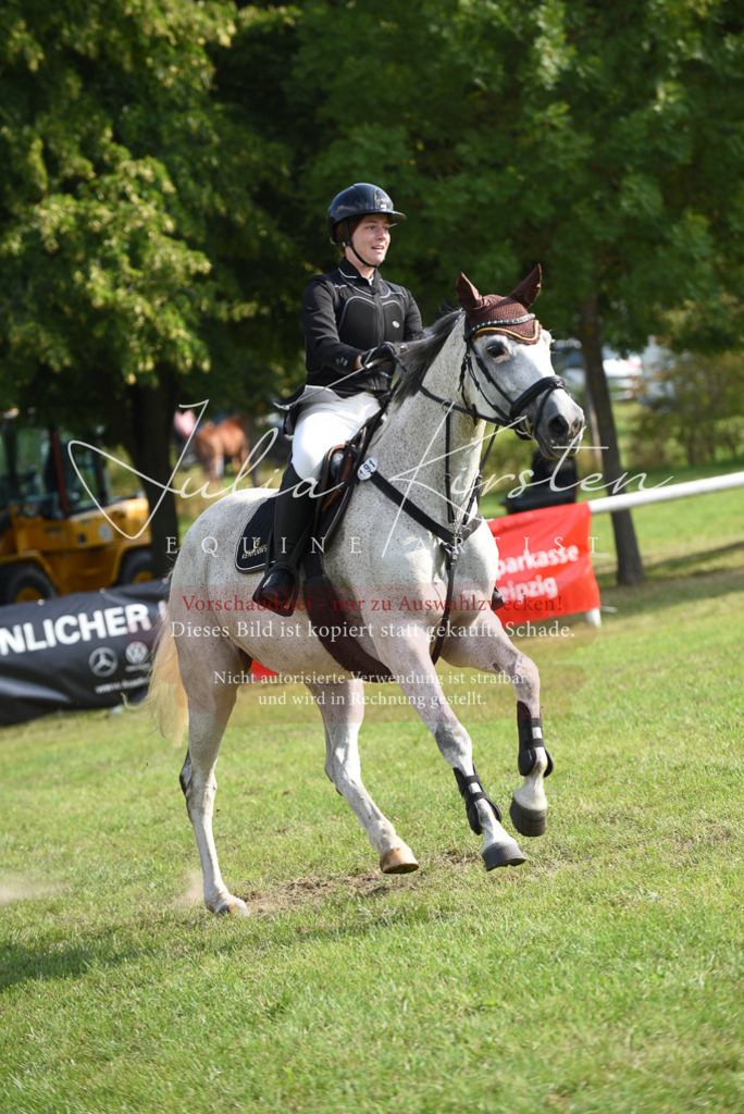 DSC_8732 | Pferde- und Turnierfotografie in Westsachsen. Pferdeportraits, Auftragszeichnungen und intuitive Kunst.