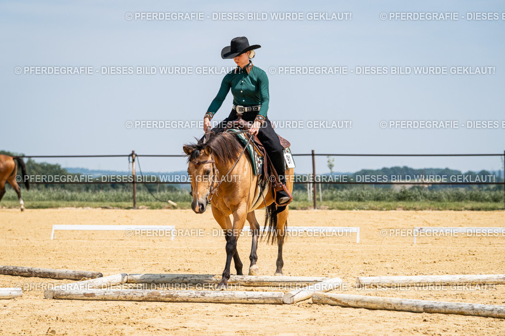 DSC01244 | Pferdegrafie