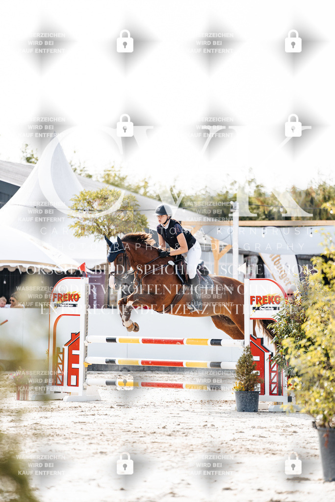 CK905705 | Turnierfotografie Pferdefotografie Trier Rheinland-Pfalz Pferdesport Reitsport Tierfotografie Sportfotografie Pferdevideo Pferdevideografie Equestrianvideography equestrianphotography  - Realisiert mit Pictrs.com