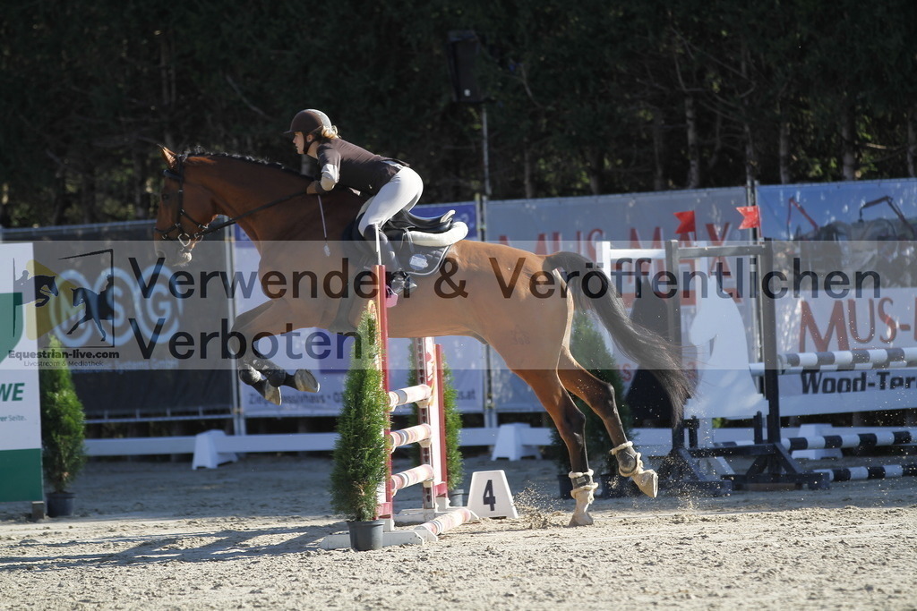 _MG_3584 | equestrian-live-com