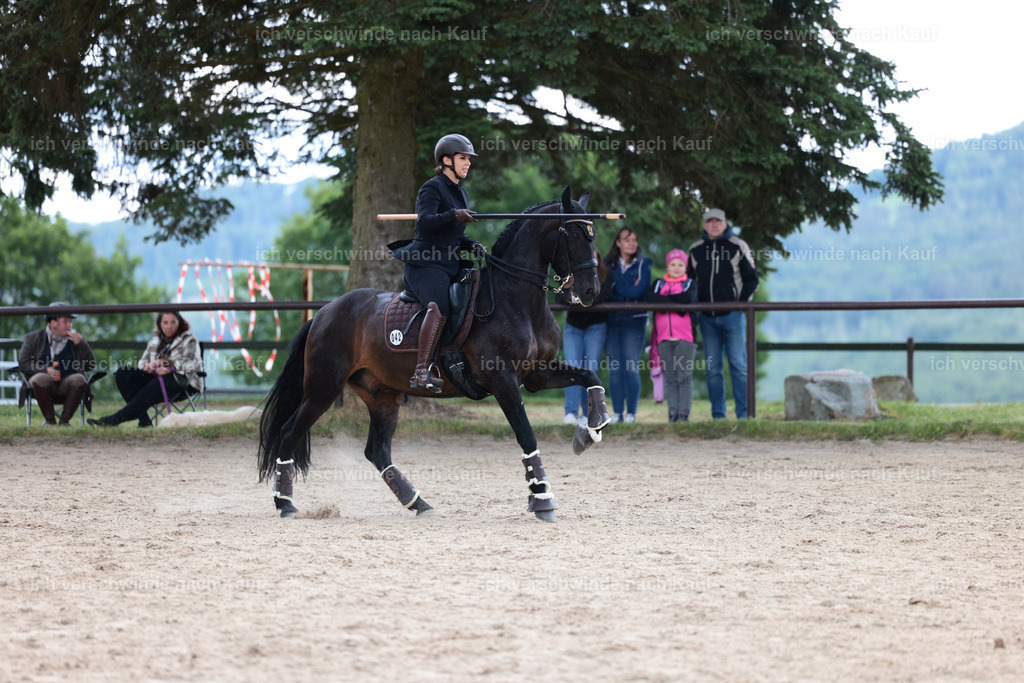 KlasseL_Stoibphotography_CAM23030.JPG | working equitationturnier fotograf videograf stoibphotography marixx film working equitation deutschland reitsport turnierfotografie eventfotografie equestrian events