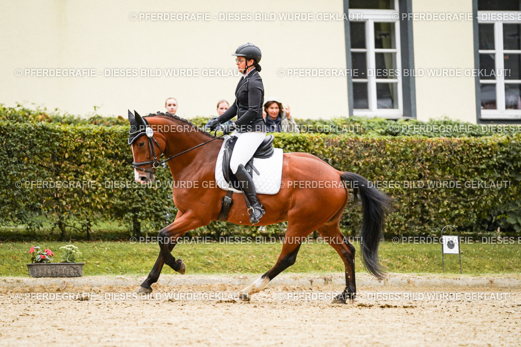 DSC07215 | Pferdegrafie