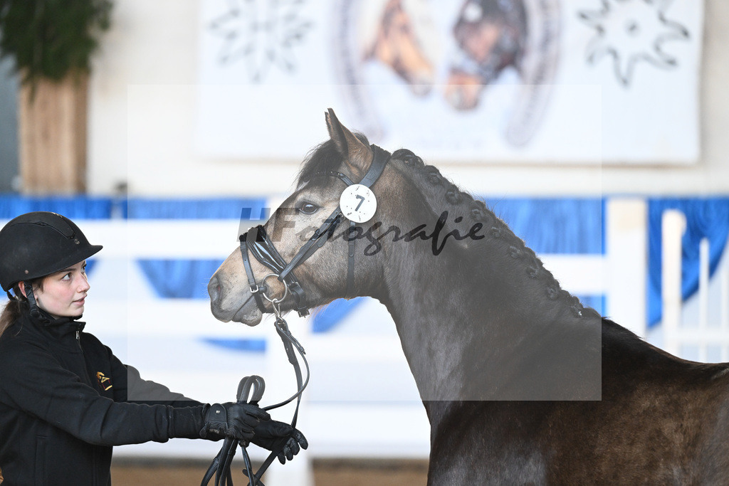 Kat-Nr. 7 Dian v. Diamond Touch_Schneider_9260182 | hf-fotografie - Realisiert mit Pictrs.com