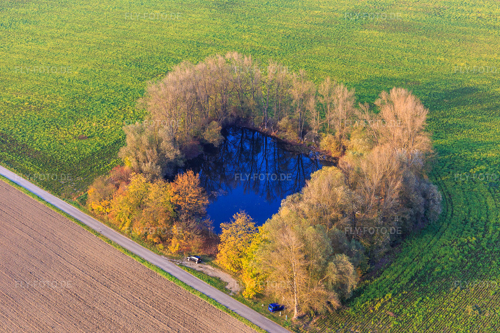 Luftbild: Kleiner von Pappeln umstandener Angelweiher in den Rheinauen in Leimersheim im Bundesland Rheinland-Pfalz in Deutschland. Foto: IMG_104461.jpg vom 03.11.2017 durch Werner Riehm/FLY-FOTO.de