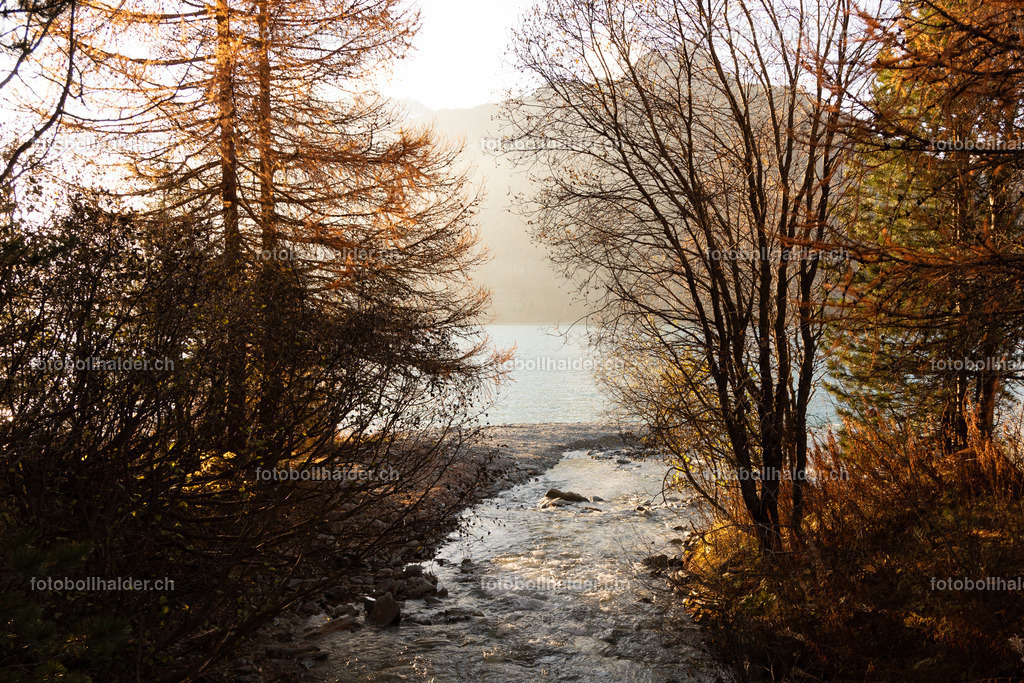 IMG_0430_2 | Foto Bollhalder 