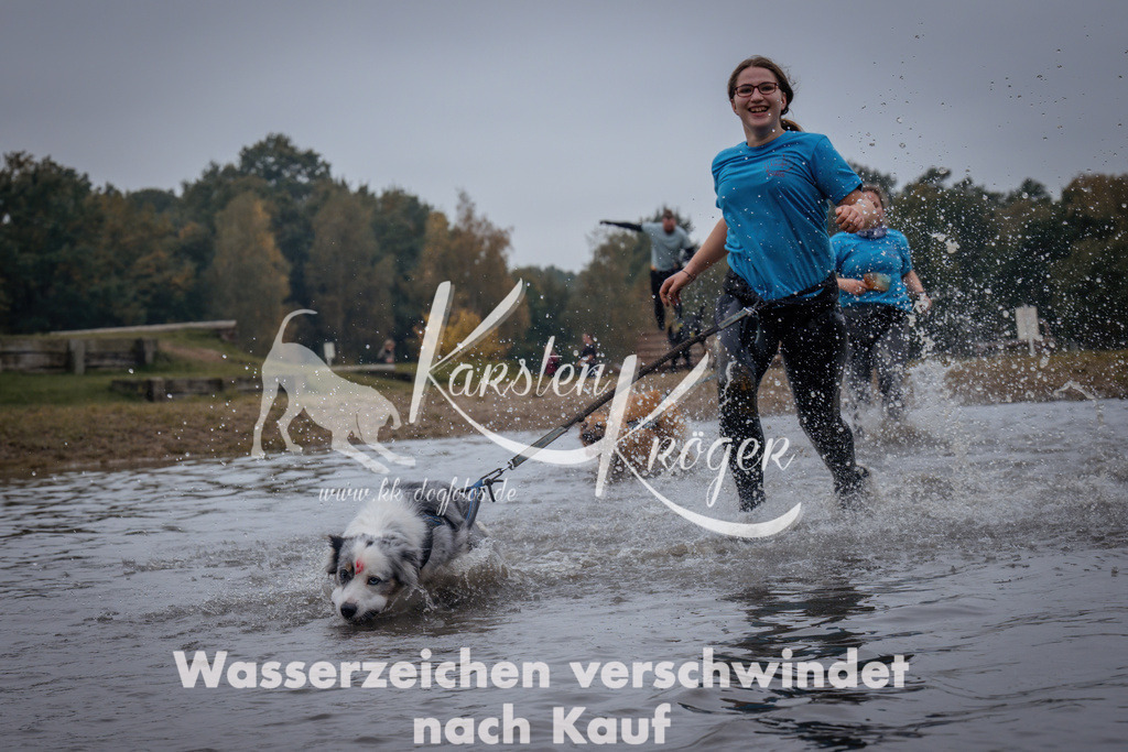 1209_ZZ98421 | kk-dogfotos