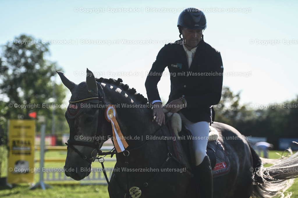 20230908_14-15_Springpferde-A_0131 | equistock