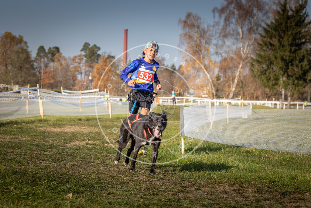 CaniXpix_0L8A8806 | Hundefotografie, Tierfotograf, Pfotenfotografie, Fotoshooting Hund, Hunde Portrait, Hundesport, Hundeportraits, Heideshooting, Hunde, Sportfotograf, Hundefotograf, Turnierhundsport, THS,  - Realisiert mit Pictrs.com