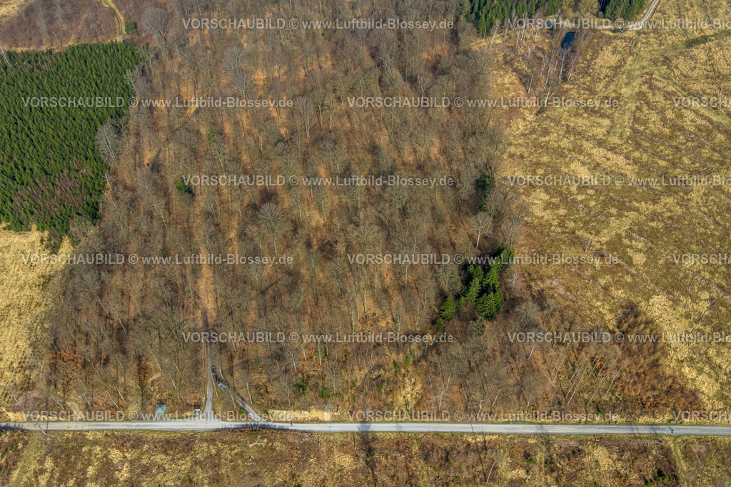 Moehnesee240307726Suedufer-Friedwald | Luftbild Blossey Luftbilder NRW Deutschland