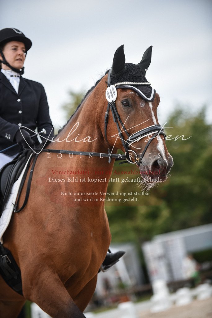 DSC_8069 | Pferde- und Turnierfotografie in Westsachsen. Pferdeportraits, Auftragszeichnungen und intuitive Kunst.