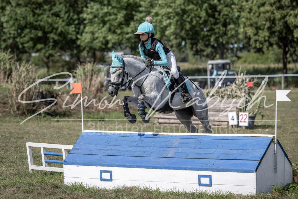 20250907-_3LI0085 | Tierfotografie Pferde, Hunde, Katzen, Haustiere.
Turnierfotografie Reitturniere, Reiten, Springreiten, Dressur in Hanau, dem Main-Kinzig-Kreis und dem Rhein-Main- Gebiet um Frankfurt
