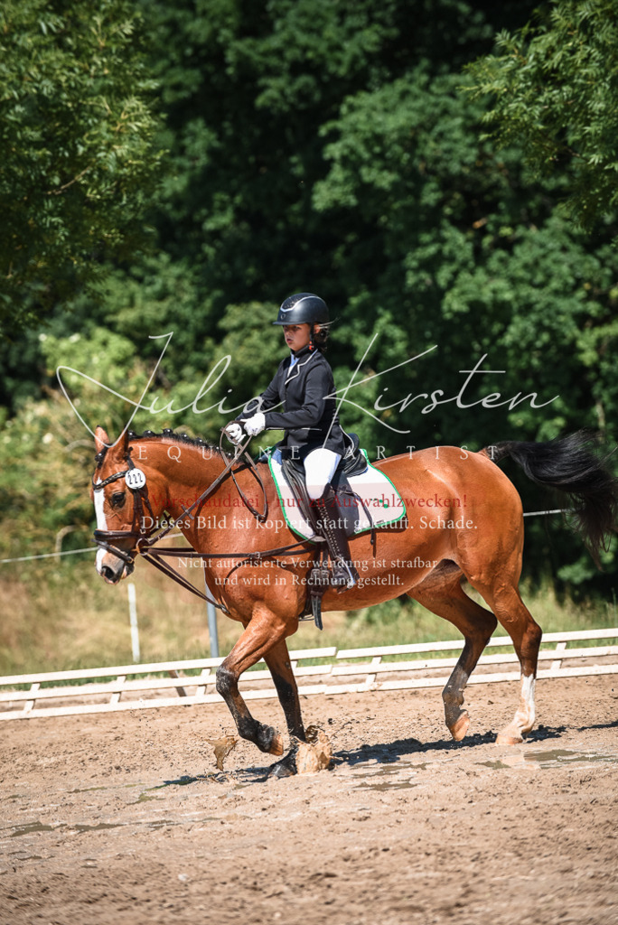 DSC_3450 | Pferde- und Turnierfotografie in Westsachsen. Pferdeportraits, Auftragszeichnungen und intuitive Kunst.