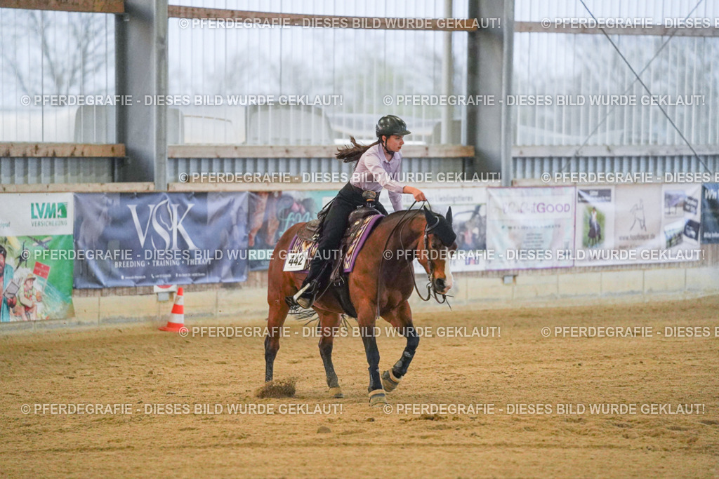 DSC09361 | Pferdegrafie