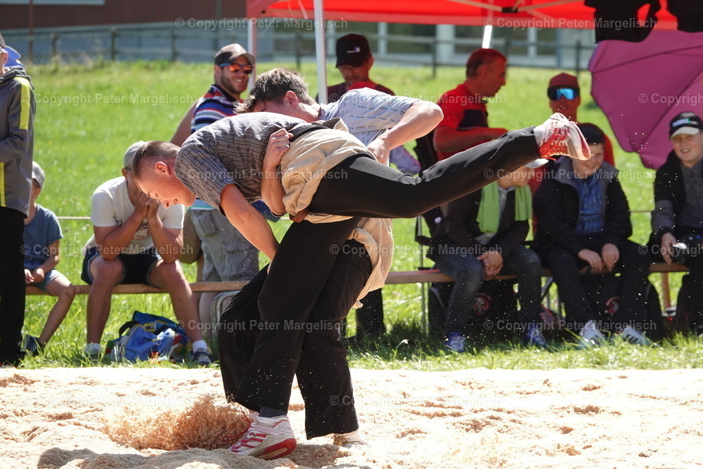 DSC04719 | Schwingen - Realisiert mit Pictrs.com