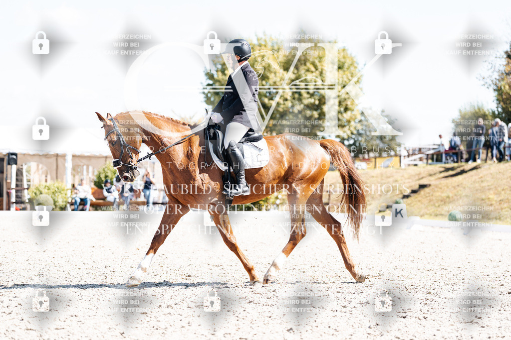 CK903356 | Turnierfotografie Pferdefotografie Trier Rheinland-Pfalz Pferdesport Reitsport Tierfotografie Sportfotografie Pferdevideo Pferdevideografie Equestrianvideography equestrianphotography  - Realisiert mit Pictrs.com
