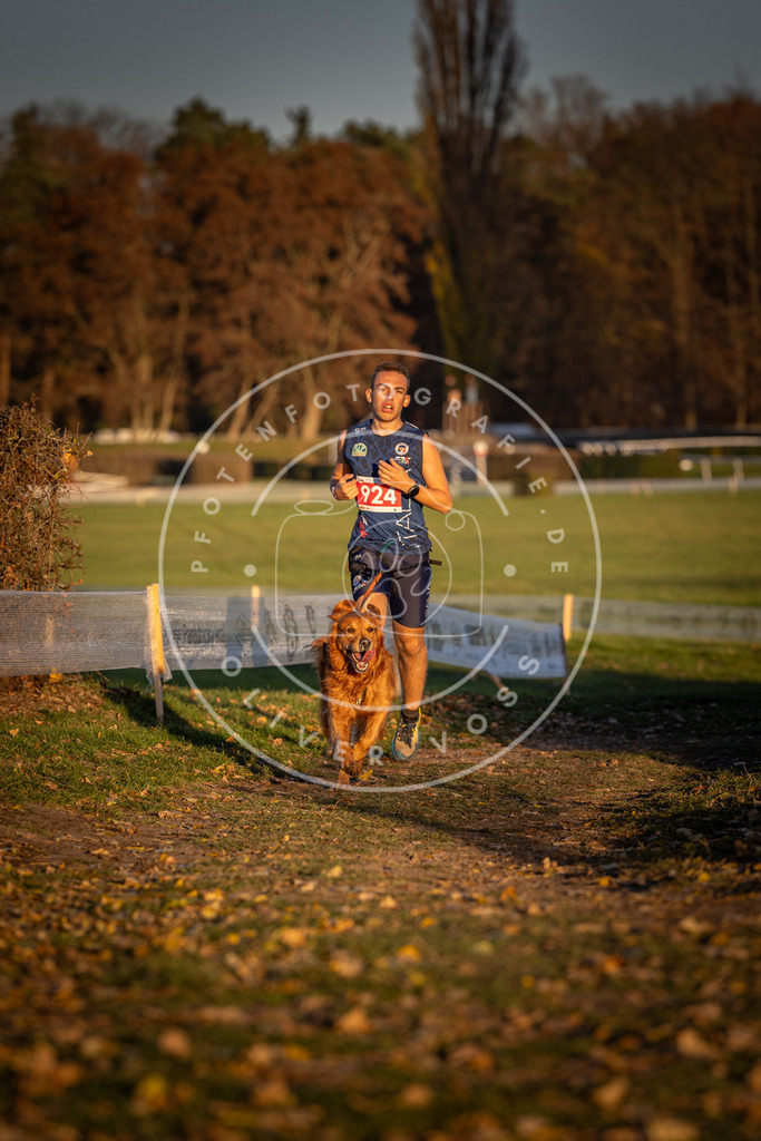 CaniXpix_DV3A4981 | Hundefotografie, Tierfotograf, Pfotenfotografie, Fotoshooting Hund, Hunde Portrait, Hundesport, Hundeportraits, Heideshooting, Hunde, Sportfotograf, Hundefotograf, Turnierhundsport, THS,  - Realisiert mit Pictrs.com