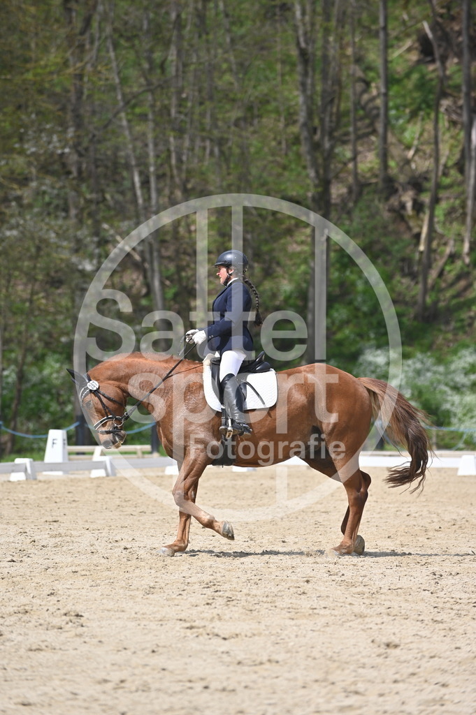 DSC_2906 | sattelsport - Realisiert mit Pictrs.com