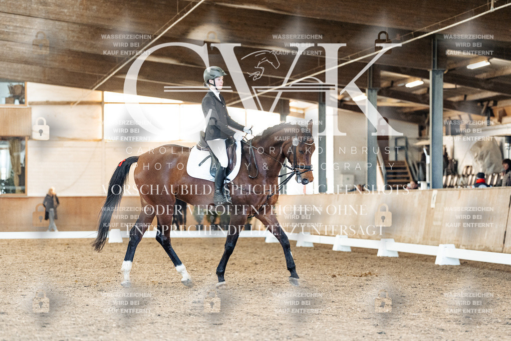 CK908061 | Turnierfotografie Pferdefotografie Trier Rheinland-Pfalz Pferdesport Reitsport Tierfotografie Sportfotografie Pferdevideo Pferdevideografie Equestrianvideography equestrianphotography  - Realisiert mit Pictrs.com