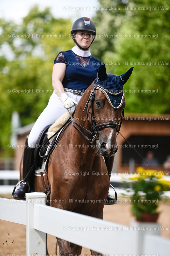 20230716_01_Dressurprüfung Kl.M_0363 | equistock