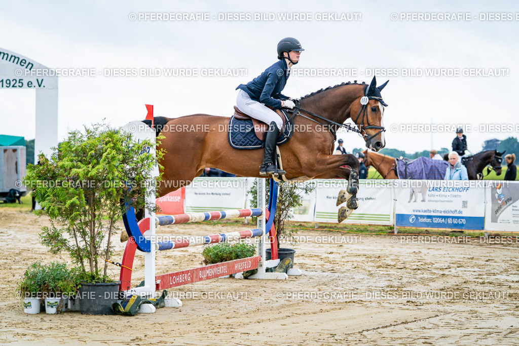 DSC02091 | Pferdegrafie