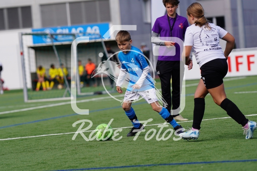SON07165 | rabefotos