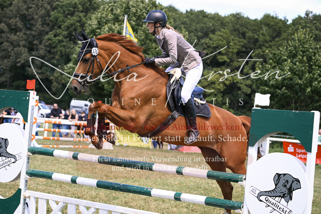 DSC_0236 | Pferde- und Turnierfotografie in Westsachsen. Pferdeportraits, Auftragszeichnungen und intuitive Kunst.