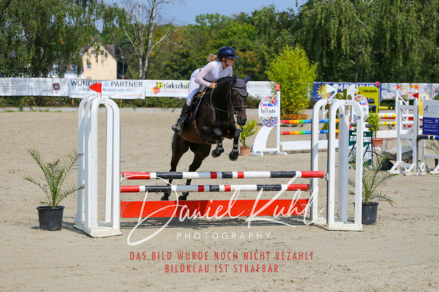 Gut Blee25_Amateuer Stilsprpfg Kl A_0366 | Turniersportfotografie; Pferdefotografie; Dressurfotografie