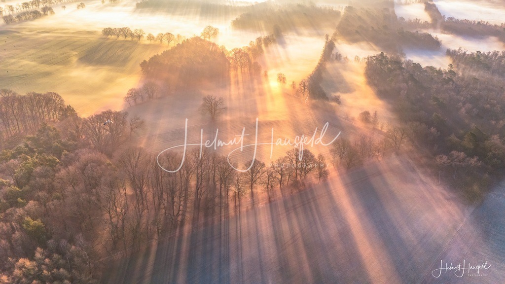 DJI_20250328065154_0157_Dkl | default - Realisiert mit Pictrs.com