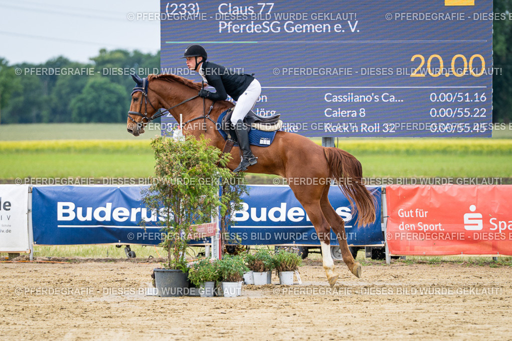 DSC04877 | Pferdegrafie