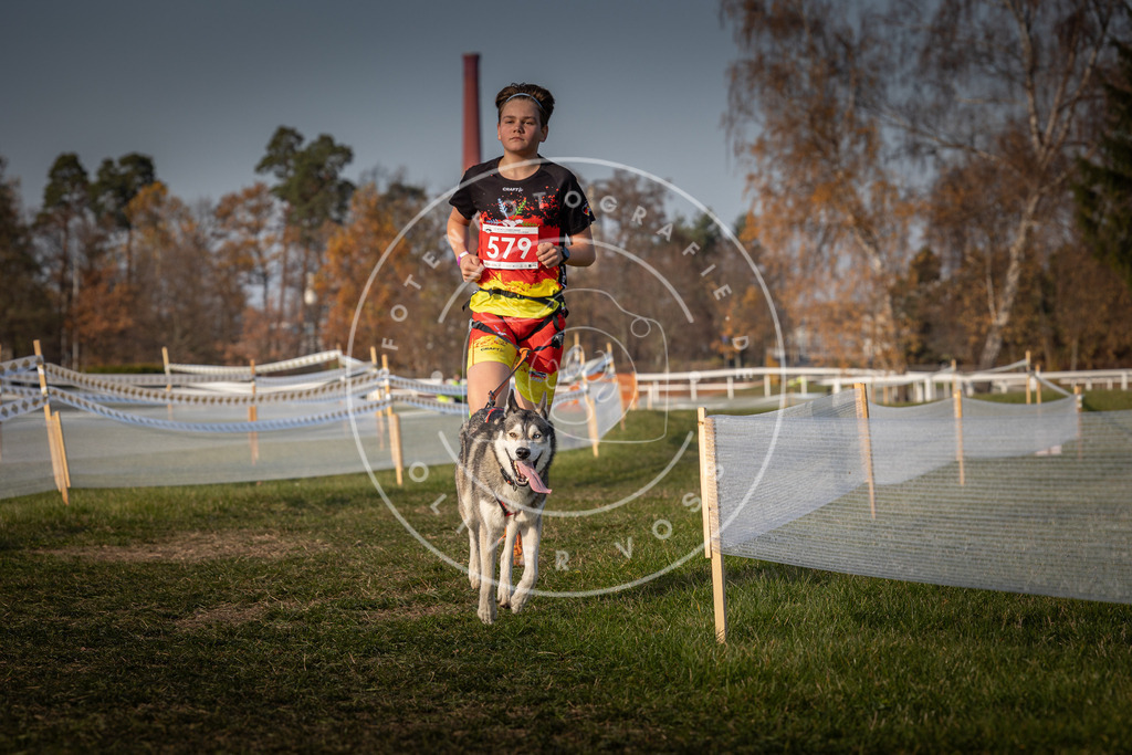 CaniXpix_0L8A9687 | Hundefotografie, Tierfotograf, Pfotenfotografie, Fotoshooting Hund, Hunde Portrait, Hundesport, Hundeportraits, Heideshooting, Hunde, Sportfotograf, Hundefotograf, Turnierhundsport, THS,  - Realisiert mit Pictrs.com