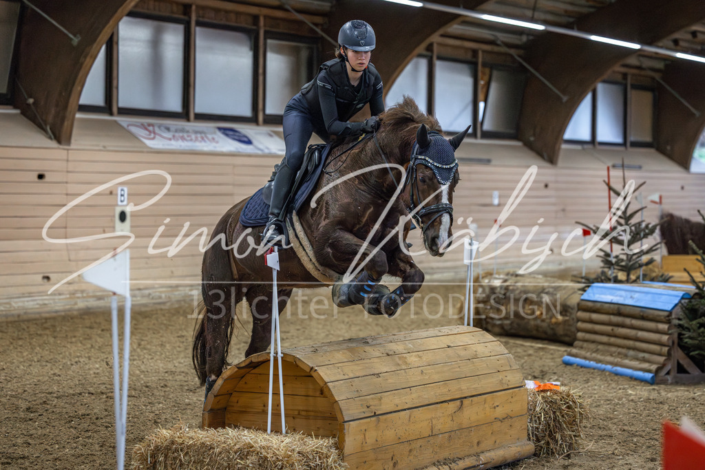 20260222-_3LI1347 | Tierfotografie Pferde, Hunde, Katzen, Haustiere.
Turnierfotografie Reitturniere, Reiten, Springreiten, Dressur in Hanau, dem Main-Kinzig-Kreis und dem Rhein-Main- Gebiet um Frankfurt
