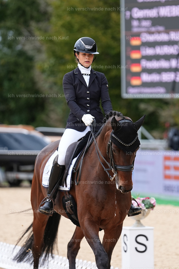 3-197-Dressur M_-Marixx-1944 | working equitationturnier fotograf videograf stoibphotography marixx film working equitation deutschland reitsport turnierfotografie eventfotografie equestrian events