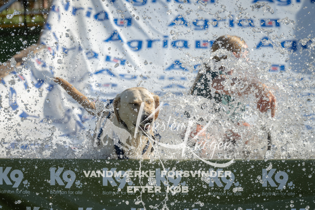 0920_ZZ94854 | kk-dogfotos