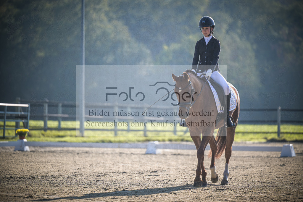 DOS_0792 | Entdecke hochwertige Reitturnierfotos von Foto Oger. Professionell, emotional und authentisch – jetzt Lieblingsmomente im Shop bestellen.Deutschlandweite Turnierfotografie. - Realisiert mit Pictrs.com